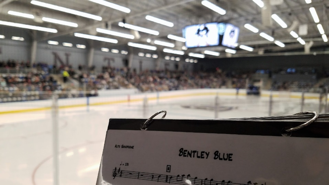 Dissertation writing assistance questionnaire examples